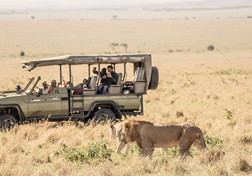 maasai-mara-3-days-by-4x4-cruiser