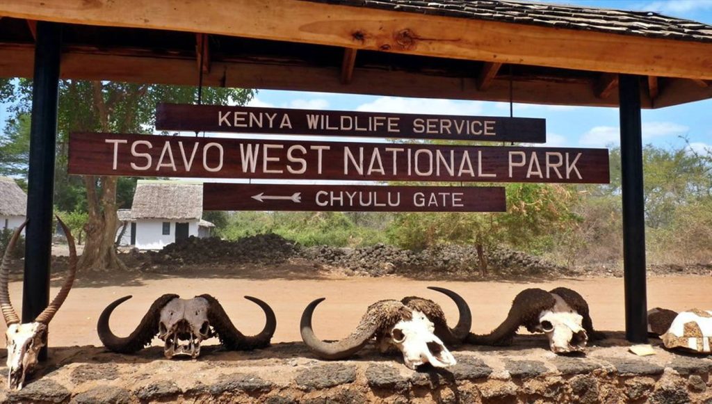 Explore the rich African wildlife at Tsavo West National Park