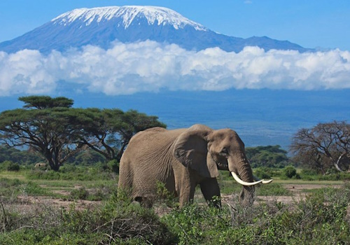 https://marstafrica.com/3-days-amboseli-safari/